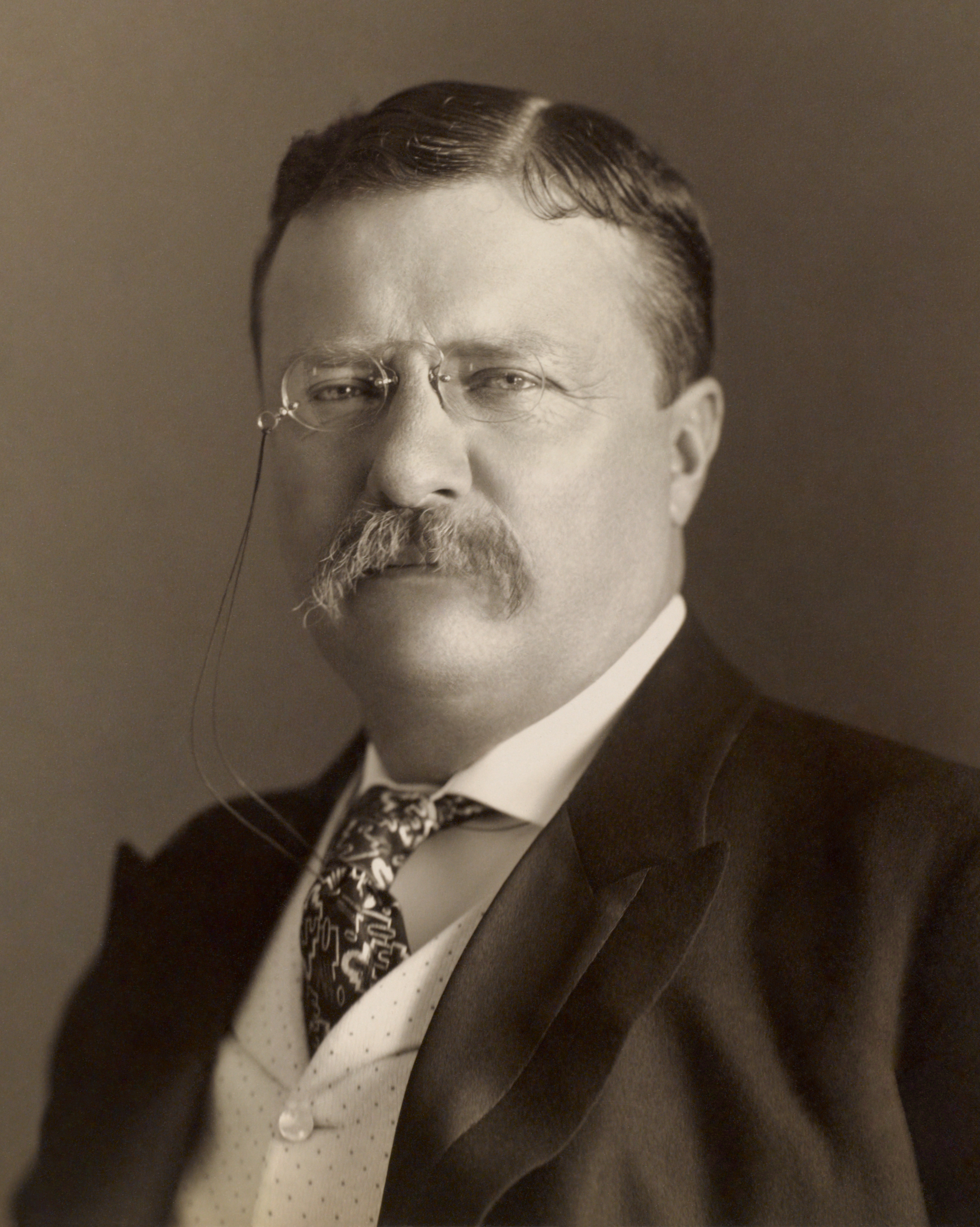 Roosevelt, Theodore portrait