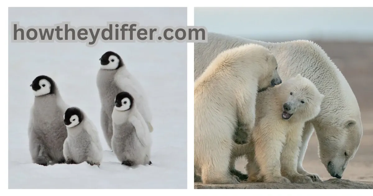 Penguins and polar bears